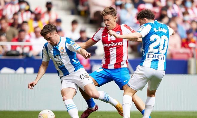 锋在内的几 锋在内的几