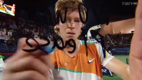 的稳定性与 的稳定性与